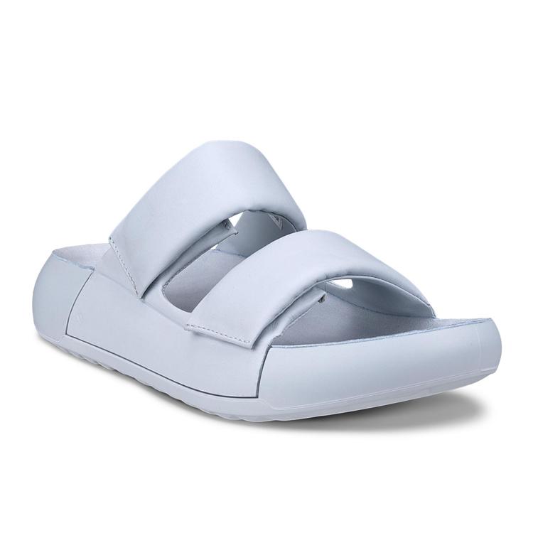 Шлепанцы ECCO COZMO PF W 206663/01696