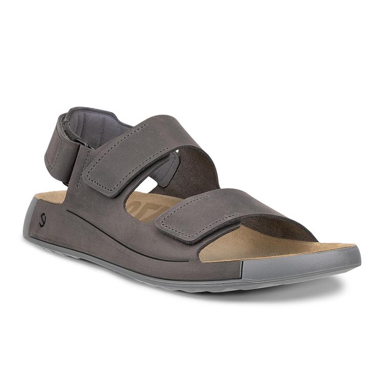 Сандалии ECCO COZMO M 500944/02013