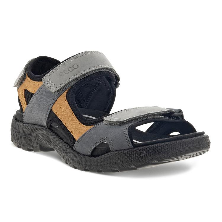 Сандалии ECCO ONROADS M 690004/60699