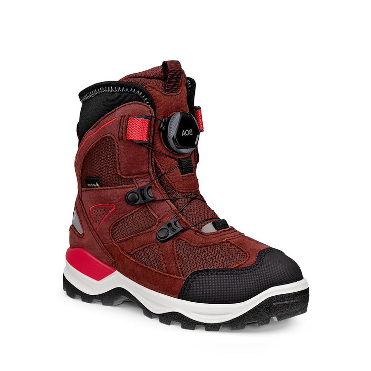 Ботинки ECCO SNOW MOUNTAIN 710292/61049