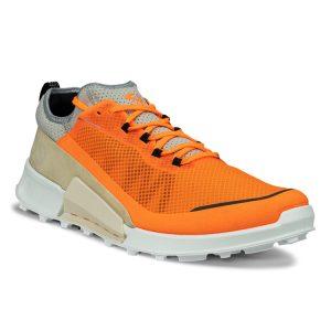 Кроссовки ECCO BIOM 2.1 X COUNTRY M 822804/60893