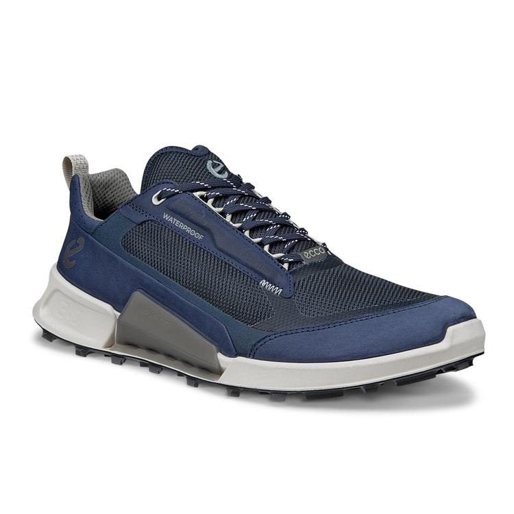 Кроссовки ECCO BIOM 2.1 X MOUNTAIN M 823814/52675