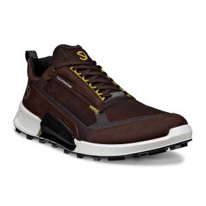 Кроссовки ECCO BIOM 2.1 X MOUNTAIN M 823814/60993