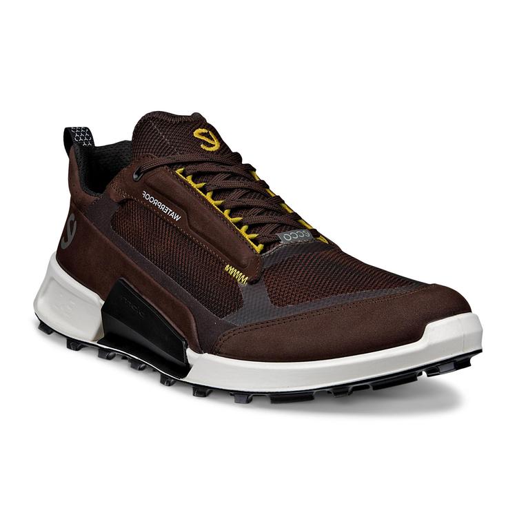 Кроссовки ECCO BIOM 2.1 X MOUNTAIN M 823814/60993