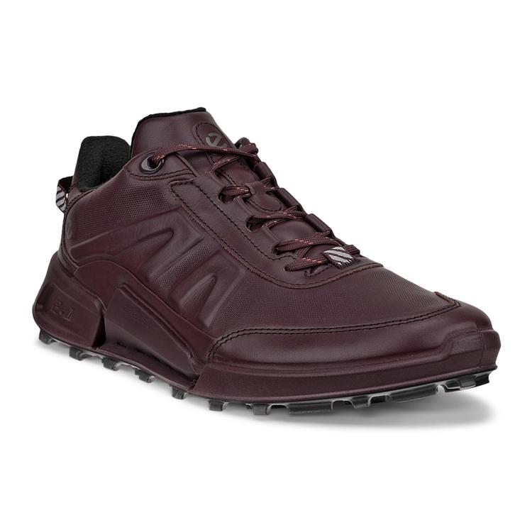 Кроссовки ECCO BIOM 2.1 X MOUNTAIN W 823873/01385
