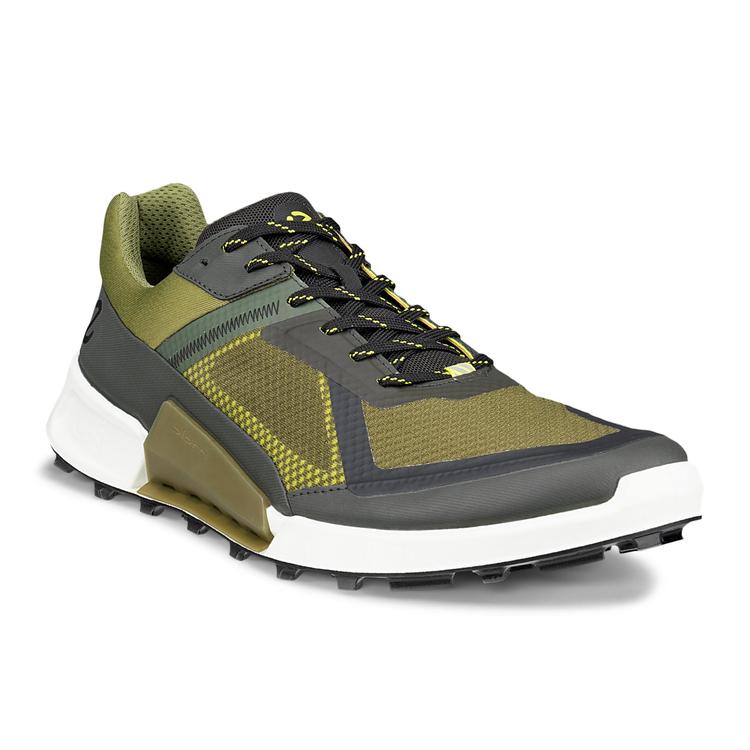 Кроссовки ECCO BIOM 2.1 X MOUNTAIN M 823894/61182