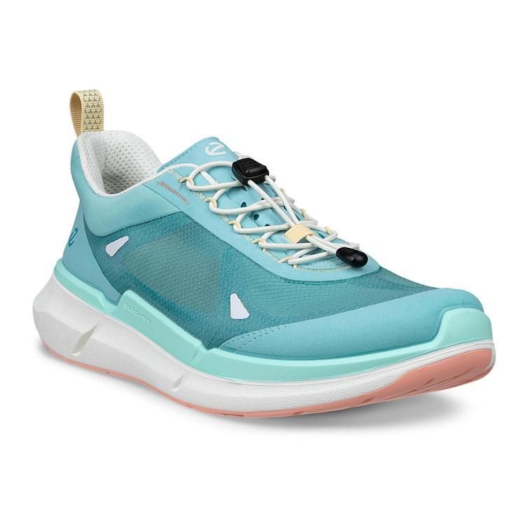 Кроссовки ECCO BIOM 2.2 W 830873/61176