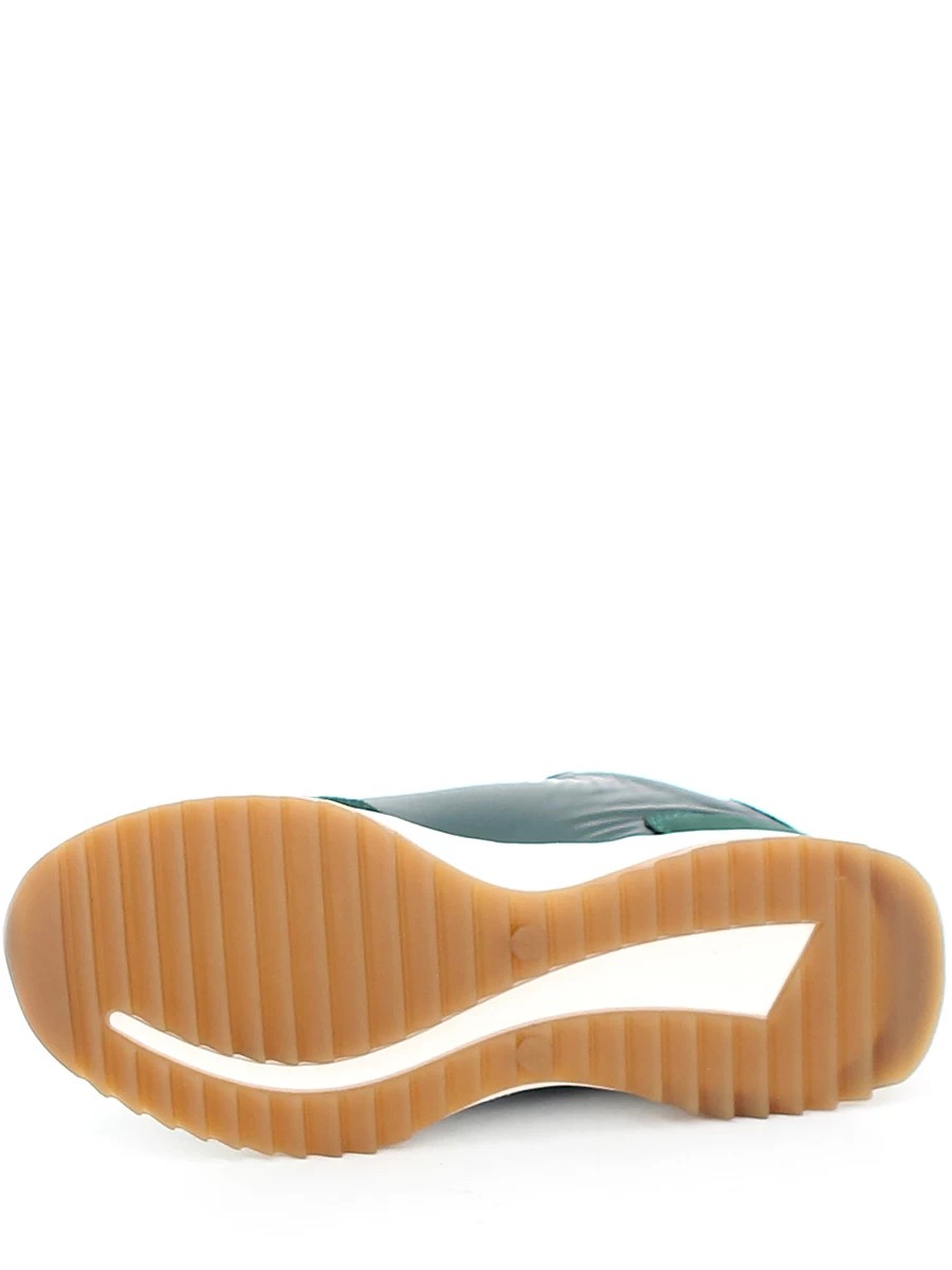 169509.3d.100.17