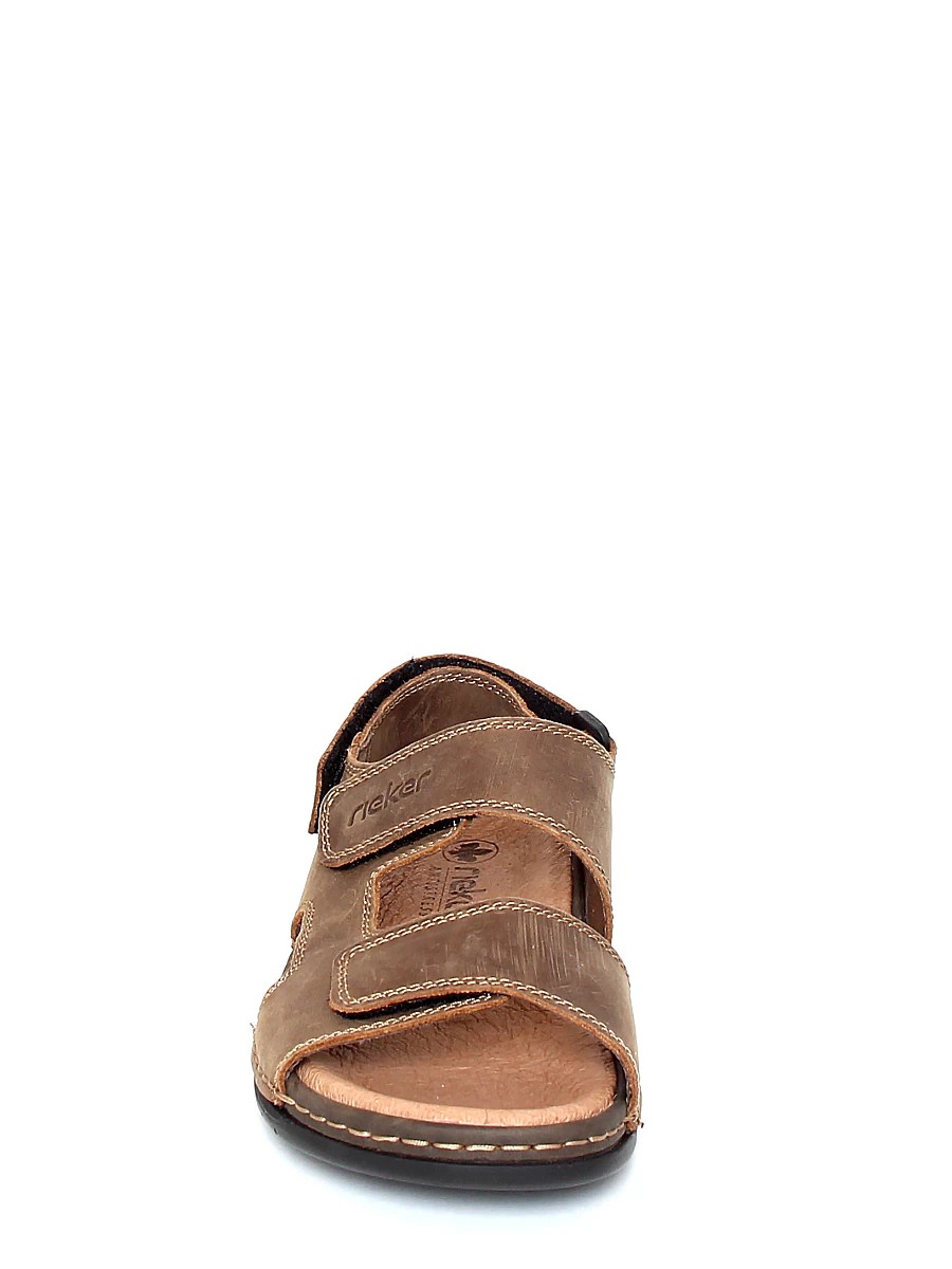 204630.3d.100.4