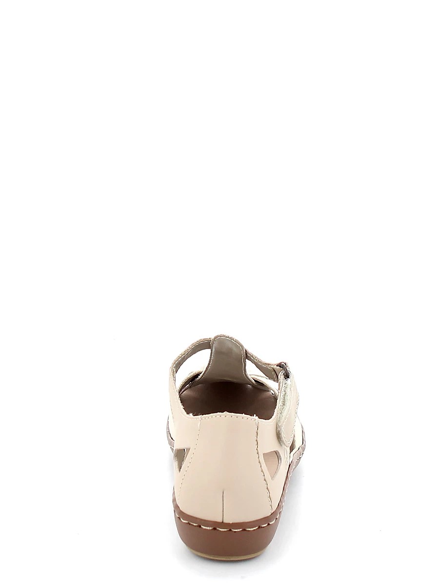 204663.3d.100.12